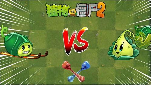 火鸡投手爆料视频大全,揭秘幕后真相与趣味瞬间